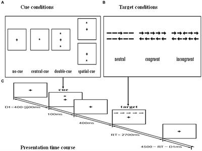 Cognitive impairment in Chinese adult patients with type III spinal muscular atrophy without disease-modifying treatment